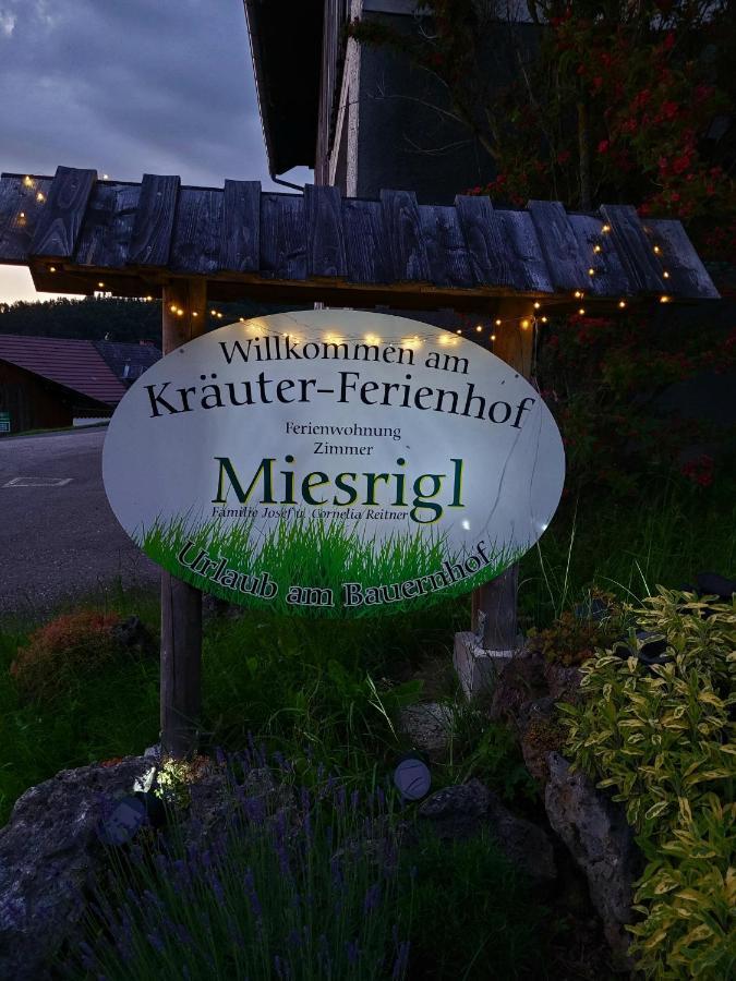 Kraeuterhof Miesrigl Villa Losenstein Ngoại thất bức ảnh