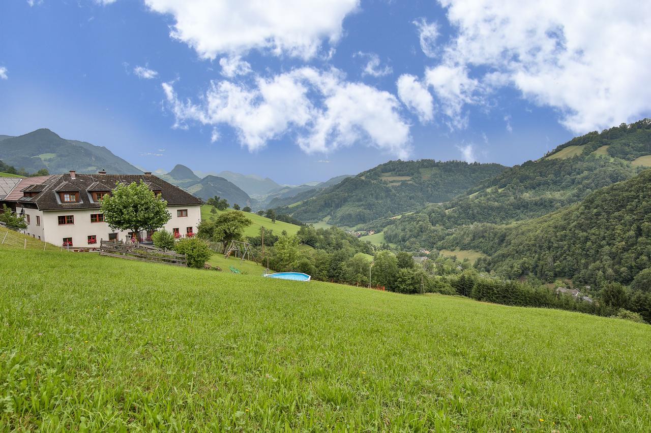 Kraeuterhof Miesrigl Villa Losenstein Ngoại thất bức ảnh